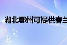 湖北鄂州可提供春蘭空調維修服務地址在哪