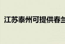 江蘇泰州可提供春蘭空調維修服務地址在哪