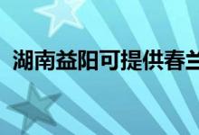 湖南益陽可提供春蘭空調維修服務地址在哪