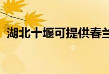 湖北十堰可提供春蘭空調維修服務地址在哪