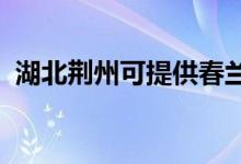 湖北荊州可提供春蘭空調維修服務地址在哪