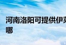 河南洛陽可提供伊萊克斯空調(diào)維修服務地址在哪