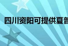 四川資陽可提供夏普空調(diào)維修服務(wù)地址在哪