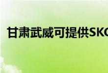 甘肅武威可提供SKG空調維修服務地址在哪