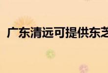 廣東清遠可提供東芝空調(diào)維修服務地址在哪
