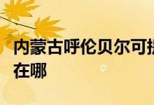 內(nèi)蒙古呼倫貝爾可提供東芝空調(diào)維修服務地址在哪
