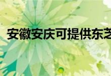 安徽安慶可提供東芝空調(diào)維修服務地址在哪