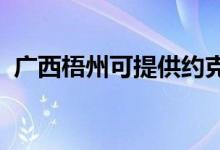 廣西梧州可提供約克空調(diào)維修服務(wù)地址在哪