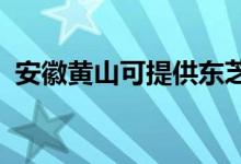 安徽黃山可提供東芝空調(diào)維修服務地址在哪