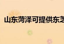 山東菏澤可提供東芝空調(diào)維修服務地址在哪