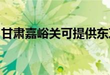 甘肅嘉峪關可提供東芝空調(diào)維修服務地址在哪