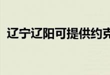 遼寧遼陽可提供約克空調(diào)維修服務地址在哪