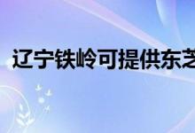 遼寧鐵嶺可提供東芝空調(diào)維修服務地址在哪