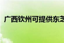 廣西欽州可提供東芝空調(diào)維修服務地址在哪