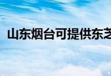 山東煙臺可提供東芝空調(diào)維修服務地址在哪