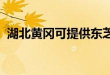 湖北黃岡可提供東芝空調(diào)維修服務(wù)地址在哪