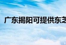廣東揭陽可提供東芝空調(diào)維修服務地址在哪