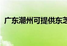 廣東潮州可提供東芝空調(diào)維修服務地址在哪