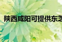 陜西咸陽可提供東芝空調(diào)維修服務地址在哪