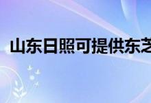 山東日照可提供東芝空調(diào)維修服務地址在哪