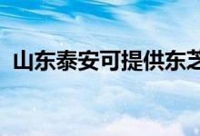 山東泰安可提供東芝空調(diào)維修服務地址在哪