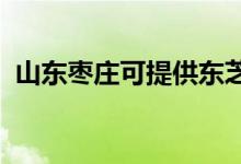 山東棗莊可提供東芝空調(diào)維修服務地址在哪