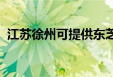 江蘇徐州可提供東芝空調(diào)維修服務(wù)地址在哪