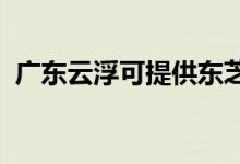 廣東云浮可提供東芝空調(diào)維修服務地址在哪