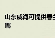 山東威海可提供春蘭中央空調(diào)維修服務(wù)地址在哪