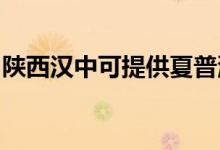 陜西漢中可提供夏普洗衣機維修服務地址在哪