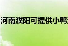 河南濮陽可提供小鴨洗衣機維修服務(wù)地址在哪