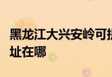 黑龍江大興安嶺可提供海爾洗衣機維修服務(wù)地址在哪