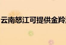 云南怒江可提供金羚洗衣機維修服務(wù)地址在哪