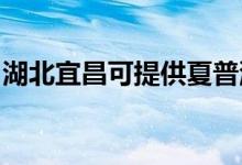 湖北宜昌可提供夏普洗衣機維修服務地址在哪
