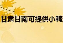 甘肅甘南可提供小鴨洗衣機維修服務(wù)地址在哪