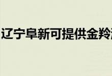 遼寧阜新可提供金羚洗衣機維修服務(wù)地址在哪