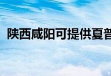 陜西咸陽可提供夏普冰箱維修服務(wù)地址在哪