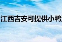 江西吉安可提供小鴨洗衣機維修服務(wù)地址在哪