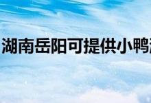 湖南岳陽可提供小鴨洗衣機維修服務(wù)地址在哪