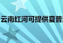 云南紅河可提供夏普洗衣機維修服務地址在哪