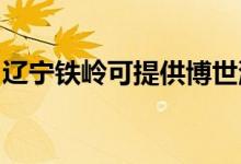 遼寧鐵嶺可提供博世洗衣機(jī)維修服務(wù)地址在哪