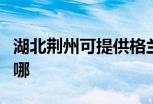 湖北荊州可提供格蘭仕洗衣機維修服務地址在哪