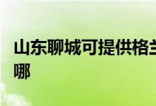 山東聊城可提供格蘭仕洗衣機維修服務地址在哪