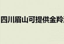四川眉山可提供金羚洗衣機維修服務(wù)地址在哪