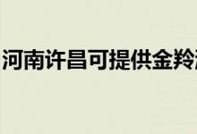 河南許昌可提供金羚洗衣機維修服務(wù)地址在哪