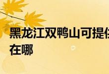 黑龍江雙鴨山可提供小鴨洗衣機維修服務(wù)地址在哪
