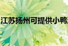 江蘇揚州可提供小鴨洗衣機維修服務(wù)地址在哪