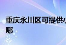 重慶永川區(qū)可提供小鴨洗衣機維修服務(wù)地址在哪