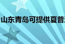 山東青島可提供夏普洗衣機維修服務地址在哪