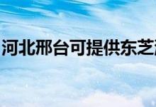 河北邢臺(tái)可提供東芝洗衣機(jī)維修服務(wù)地址在哪